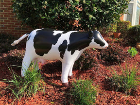 Cow Inflatable Animal Decoration 37 inch Long
